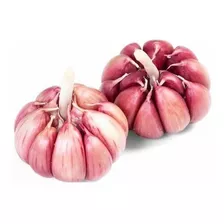 Semente Alho Roxo - Plantio Ou Consumo 10kg Hozan,nª6