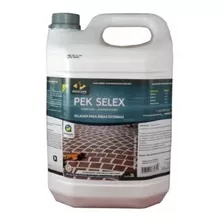 Pek Selex 5l Resina Acrílica Semibrilho