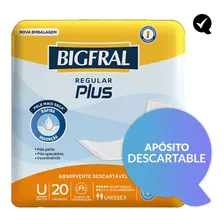 20 Apósitos Absorbentes Bigfral Regular Plus Talle Único