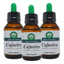 3 Extratos De Cajueiro 60ml - Tintura Mãe