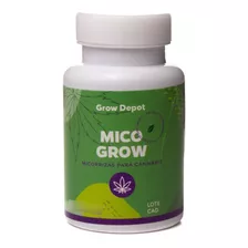 Micorrizas - Mico Grow 100g, G. Intraradices, Bacillus