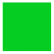 Gelatina E-colour 122 Fern Green Rosco 150122