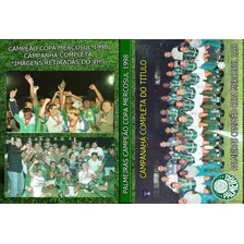 Dvd Palmeiras Campeão Copa Mercosul 1998 / Jogo Da Final