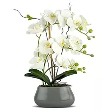 Livilan - Flores De Orquídea Artificiales De Color Blanco C