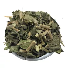 Melissa Lipia (erva Cidreira) 1kg - Linha Premium