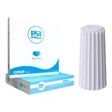 Filtro Fipor Repuesto Psa X 10 Unidades Senior Original Pro