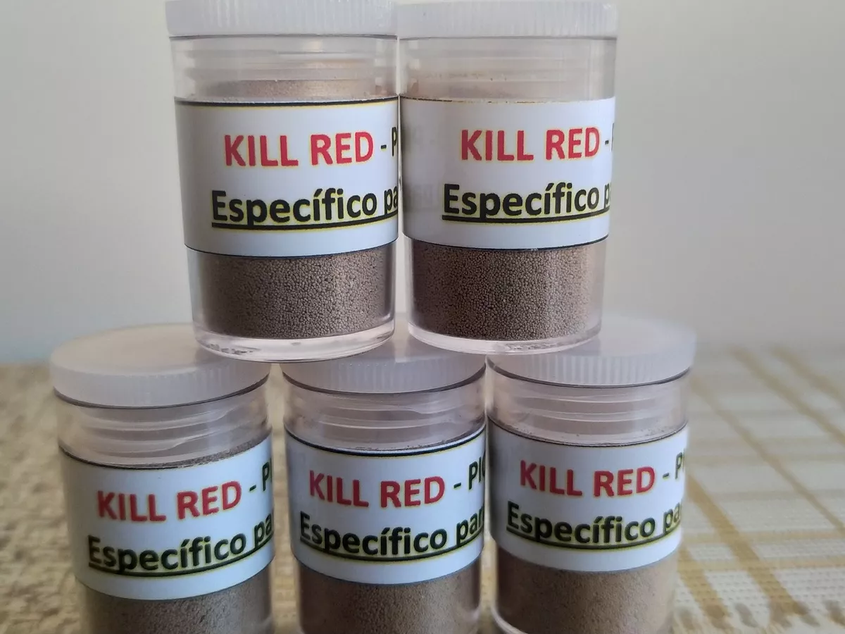 Kill Red Piolhicida 6g Cada Unidade Kit Com 5 Unidade 
