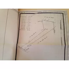 Para Desarrollo De Proyecto O Naves. Sobre La Misma Ave De L