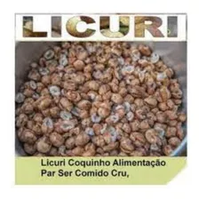  Licuri Coquinho Alimentação Para Ser Comido Cru, 500 Grama