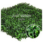 Primera imagen para búsqueda de jardin vertical muro verde artificial sophie 50x50