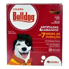 Bulldog Coleira Cães 64cm