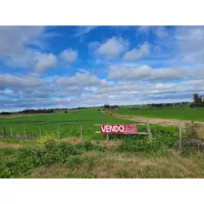  Campo, Chacra Sobre Ruta 1 Km 63.500 