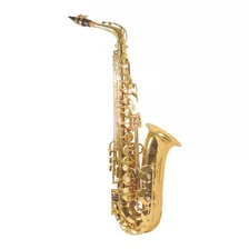 Saxofón Alto Importado De Alta Calidad