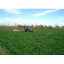 Fardos De Alfalfa La Plata / Magdalena