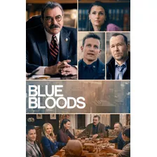 Dvd Box - Blue Bloods 13ª Temporada