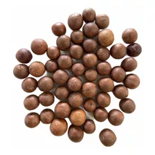 Nuez De Macadamia En Cuesco - Kg a $17000
