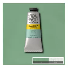 Tinta Acrílica Winsor & Newton Galeria 60ml Pale Olive Cor Azul-claro