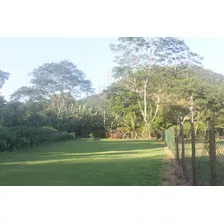 Terreno Todo Cercado Com Tela 2m , Gramado E Com Pomar. Apenas 150m Da Estrada De Asfalto Na Rua Do Sítio Das Bromélias. Linda Vista Na Área Mais Nobre Da Região. Veja Na Descrição Outros Terrenos. 