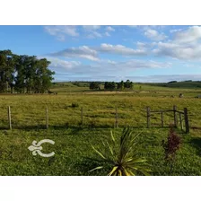 Campo En Venta En Cerro Largo Ref. 4683 (ref: Cbr-1059)