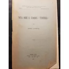 Notas Sobre El Suborden Typotheria. Ángel Cabrera. 51n 439