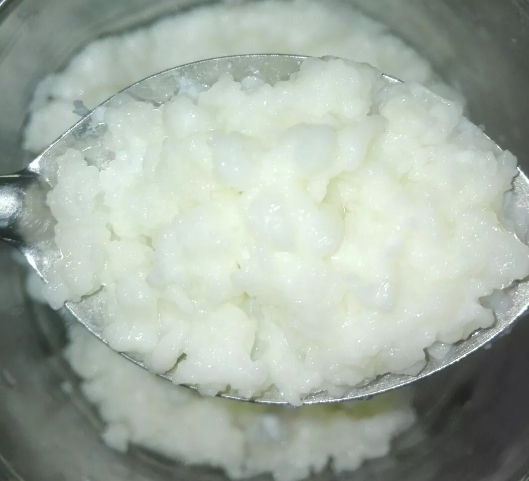 Yogurt Natural Vivo, Kefir, Se Reproducen Con Leche (1 Cdta)