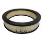 Filtro Combustible Datsun 4cil 1.6l 79_84 Injetech 8316022