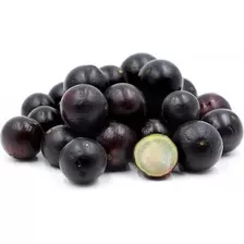 Jabuticaba Sabará Sementes Fruta Para Mudas