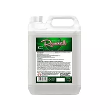 Removedor Removall 5l - Briosol Remover Ceras E Limpa