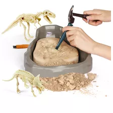 Science Can Kit De Excavacin Fsil De Dinosaurio Para Nios, C