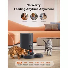 Comedero Automático Para Gatos Wopet Para Dos Gatos - Acero 