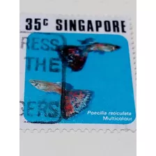 Estampilla Singapur 1033 A1