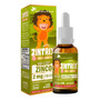 Zintrix Zinco Infantil Gotas 20ml Flora Nativa Sabor Morango