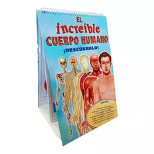 Libro Para Aprender Del Cuerpo Humano De Laminas Y Etiquetas