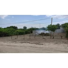 Vendo Terreno El Jaramijo Sector Colisa Barrio Costa Mar Ter