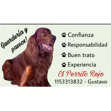 Guardería Y Pensión Canina El Perrito Rojo 