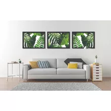 3 Quadros C/ Moldura Vidro Folhas Sala Quarto Composição