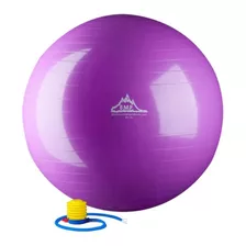 Pelota De Equilibrio 75cm De 2000lbs Color Púrpura Con