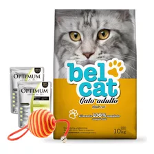 Alimento Gato Belcat Adulto 10 Kg + Promo!