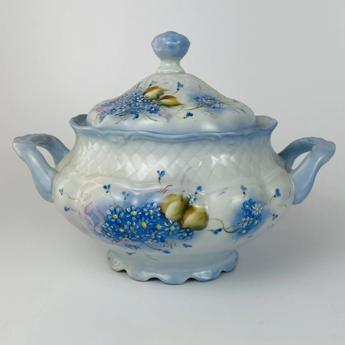 Jogo Jantar Porcelana Pintada À Mão 41 Peças Azul-celeste Floral 5