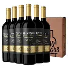 Vino Trivento Golden Reserve Malbec Caja X6 - Vinologos