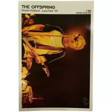 Foto Para Coleccionistas The Offspring Luna Park 1999