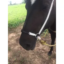 Cabezal Bitless Para Caballos