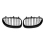 Parrilla Delantera Para Bmw X5 E53 Serie 04-06 BMW 5-Series