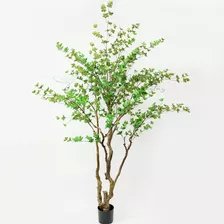 Planta Sino Japonês Árvore Artificial Decoração Sala 150cm