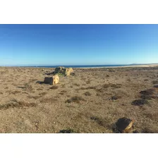 Terreno En La Playa, 10 Km De Huasco Bajo Bella Vista Al Mar