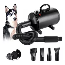 Secadora Profesional Mascotas 2800w Estetica Canina Perros Color Negro