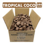 Primera imagen para búsqueda de tropical coco