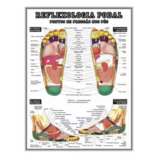 Poster Reflexologia Podal 60x80cm Pontos De Pressão Dos Pés - Plastificado - Profissional