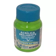 Tinta Acrílica Brilhante Verde Folha - 510 - Acrilex - 37ml