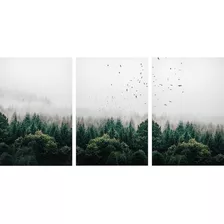 Quadro Paisagem Árvores Floresta Neblina Decorativa Pra Sala